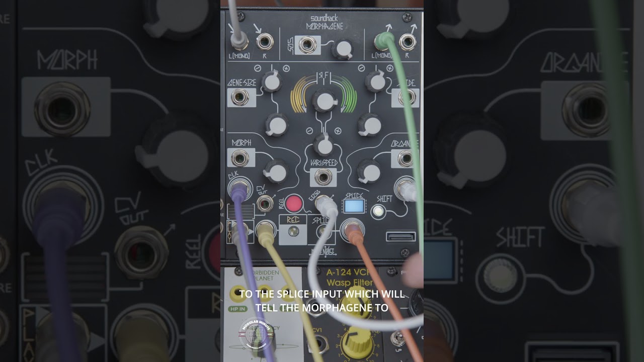 The Modular Minute 186: Morphagene as Morphing Drum Machine Part Two