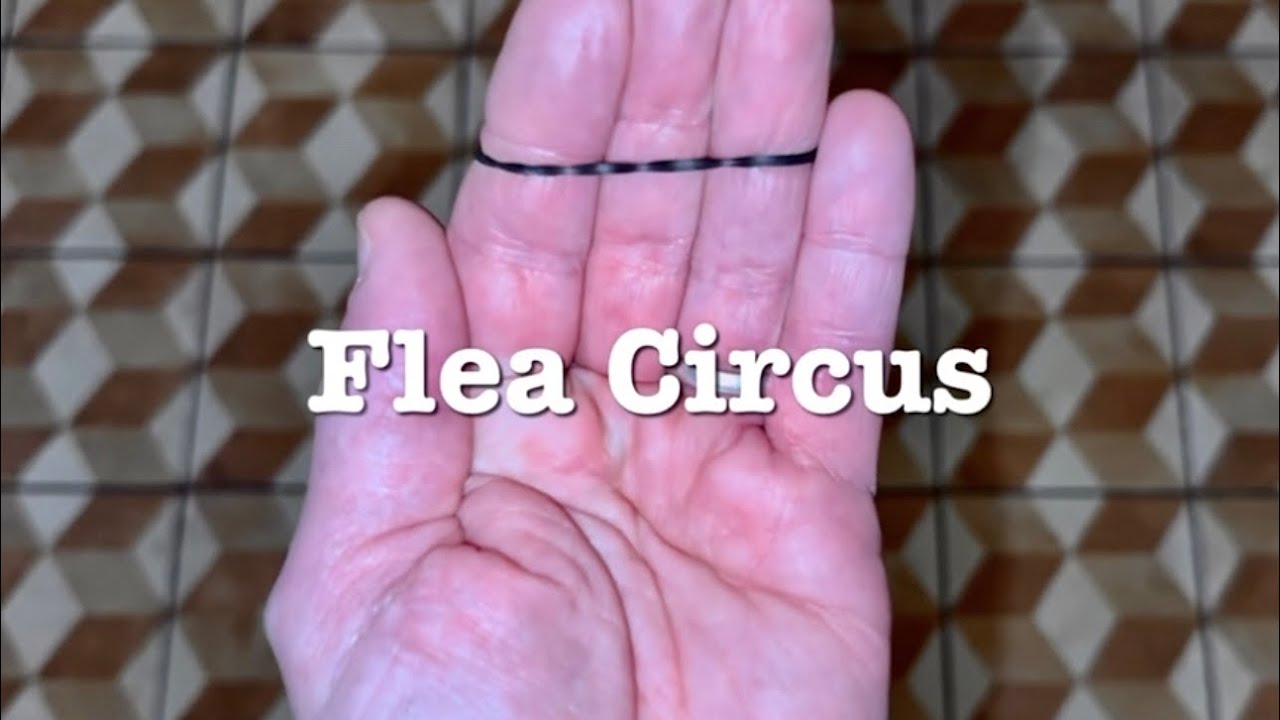 FLEA CIRCUS | Dr. Cyril Thomas