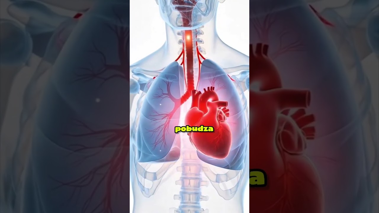 ⚠️ Co się naprawdę dzieje w Twoim ciele po każdym buchu e-papierosa?