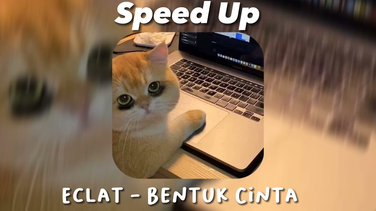 playlist; nugas sambil salting ! (Speed Up)