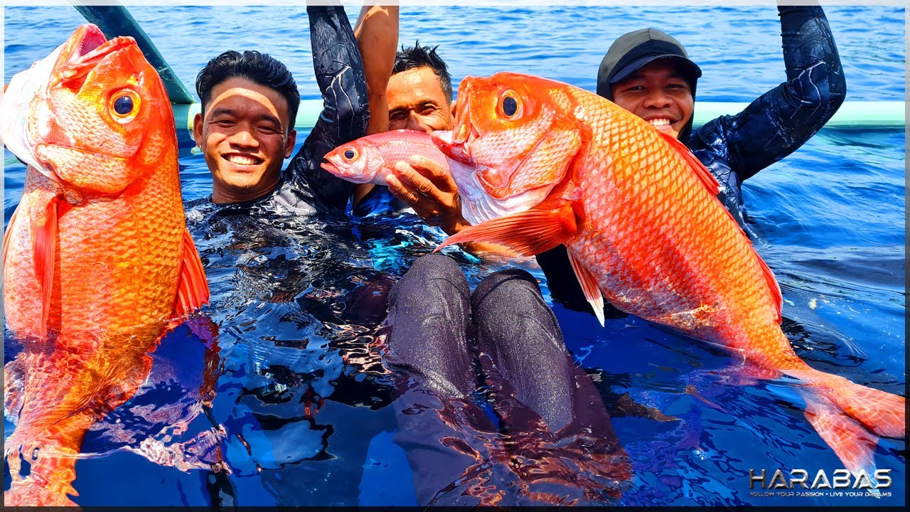 EP420-Part1 - Biggest Dulawan We Ever Caught | Longline Fishing | Occ. Mindoro