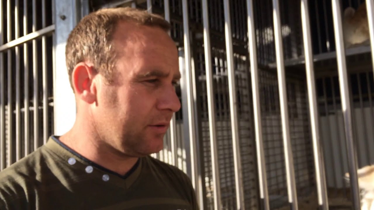 Sacha l'homme qui parle aux tigres