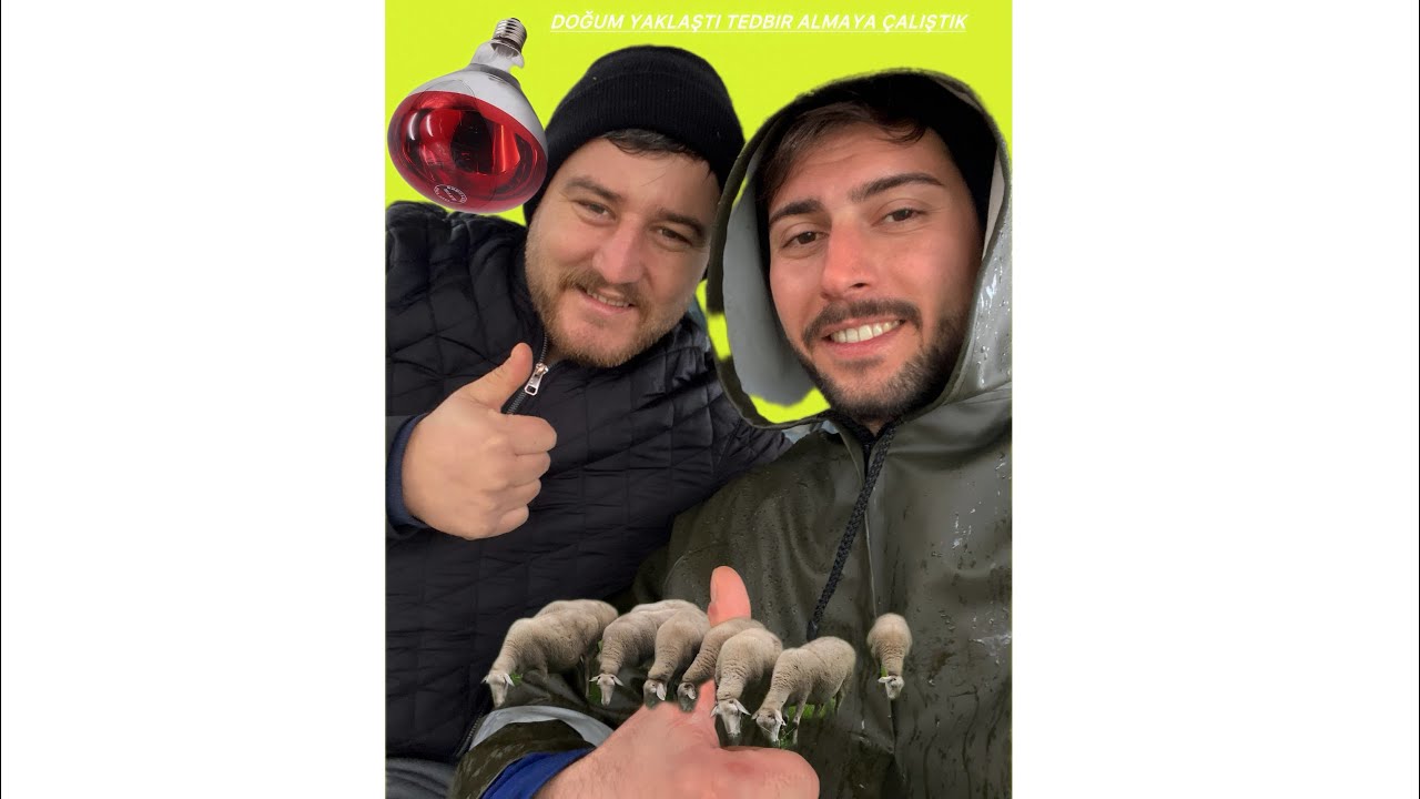 Doğumlar yaklaştı tedbir almaya çalıştık 🚨