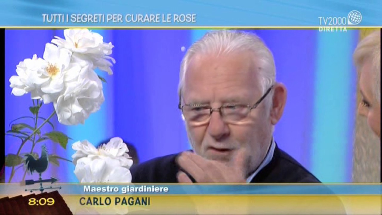 Tutti i segreti delle rose