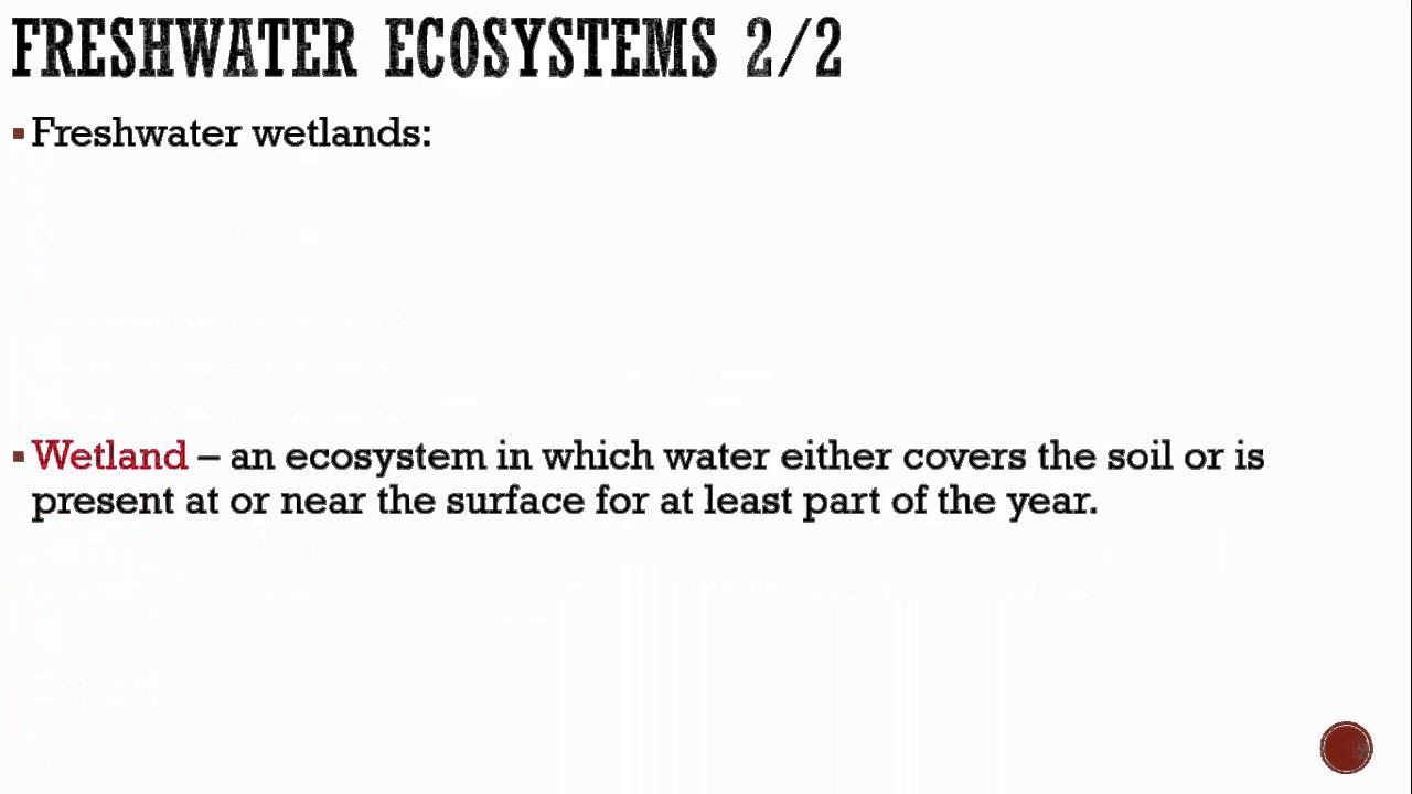 Aquatic Ecosystems