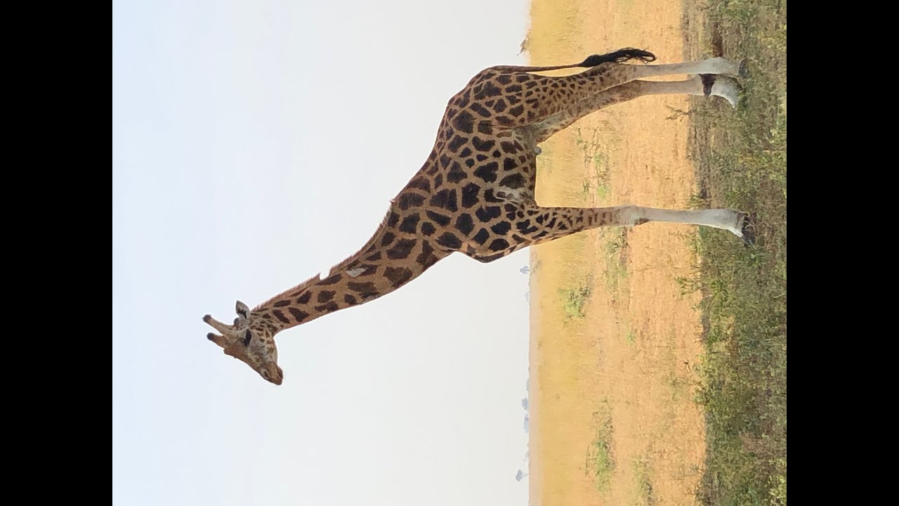 Uganda January 2022