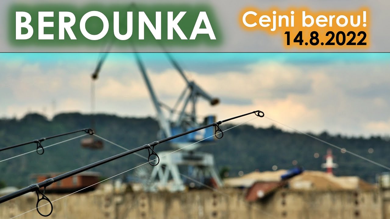 Berounka carp fishing 2022 #carp #fishhobo #carpfishing #lovkapra #fishingvideo #fishing #kaprarina
