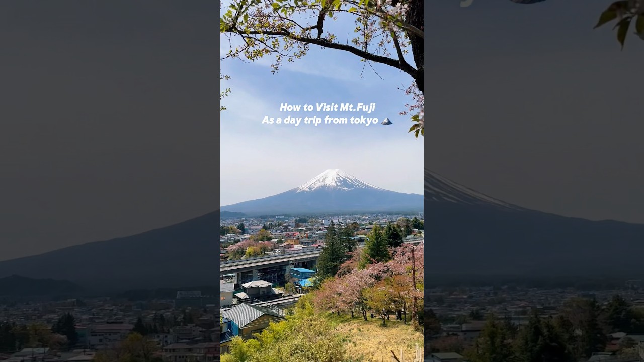 One day Tour Mt.Fuji 🏔️ buy at KLOOK use my code CCHANDRAA for extra discount #shortsfeed #japan