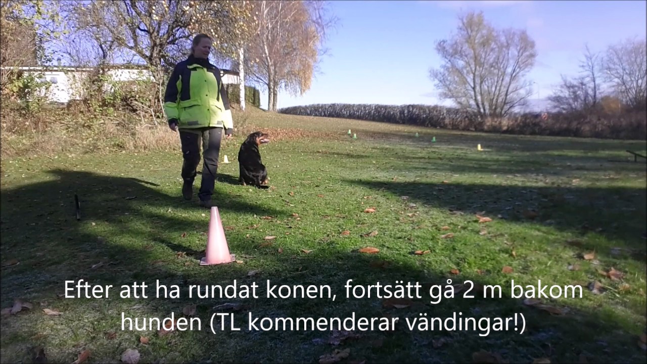 Klass 2. Momentbeskrivning Lydnad 2017
