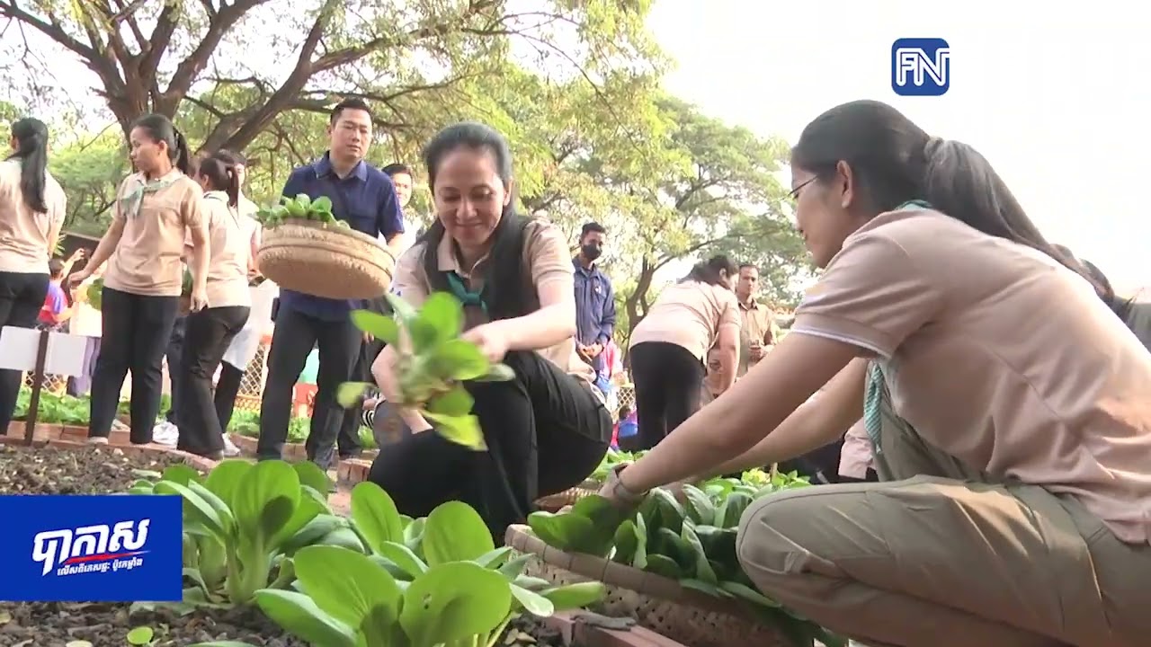 ⁨លោកជំទាវបណ្ឌិត ពេជ ចន្ទមុន្នី ហ៊ុនម៉ាណែត អញ្ជើញប្រមូលកសិផលដែលកើតចេញពី...