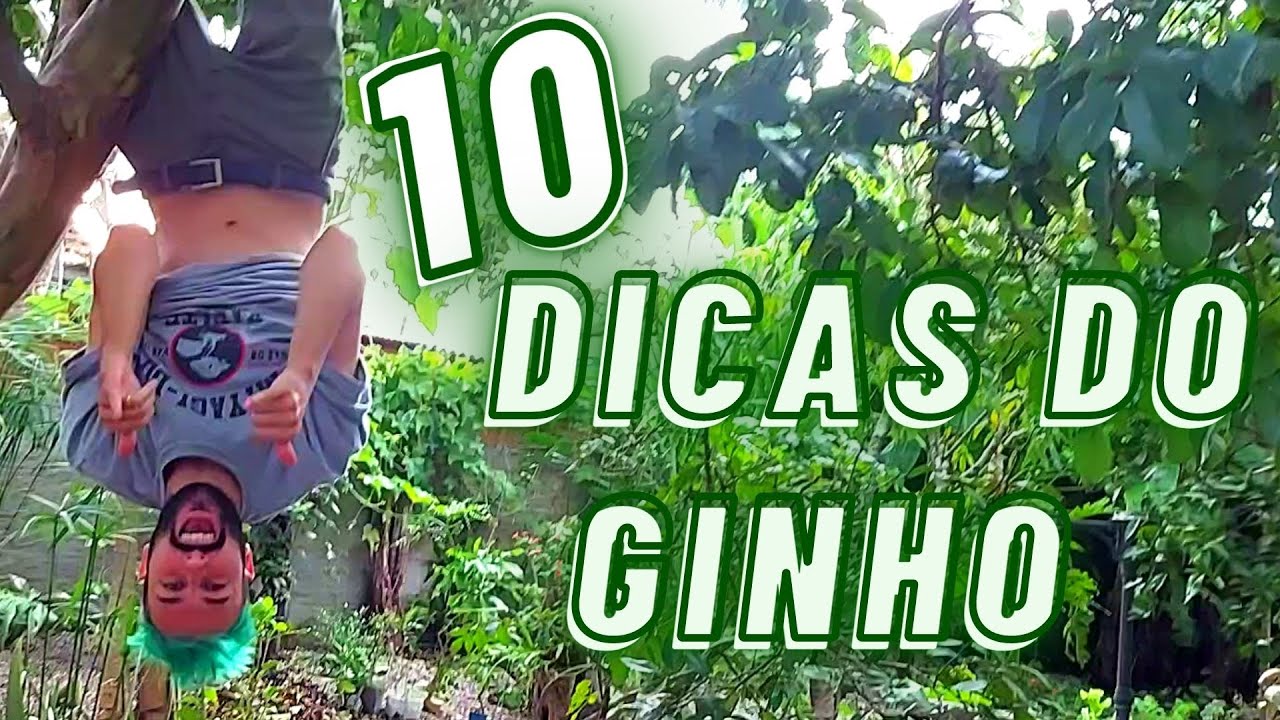 10 DICAS para IR na FLORESTA - GINHO DA SELVA