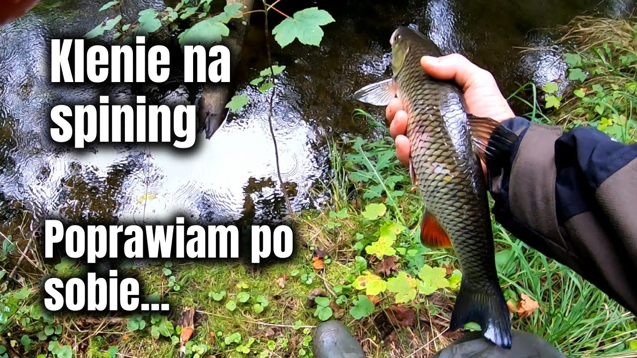 Klenie z pięknej dzikiej rzeki | Sceneria jak w BAJCE !!!