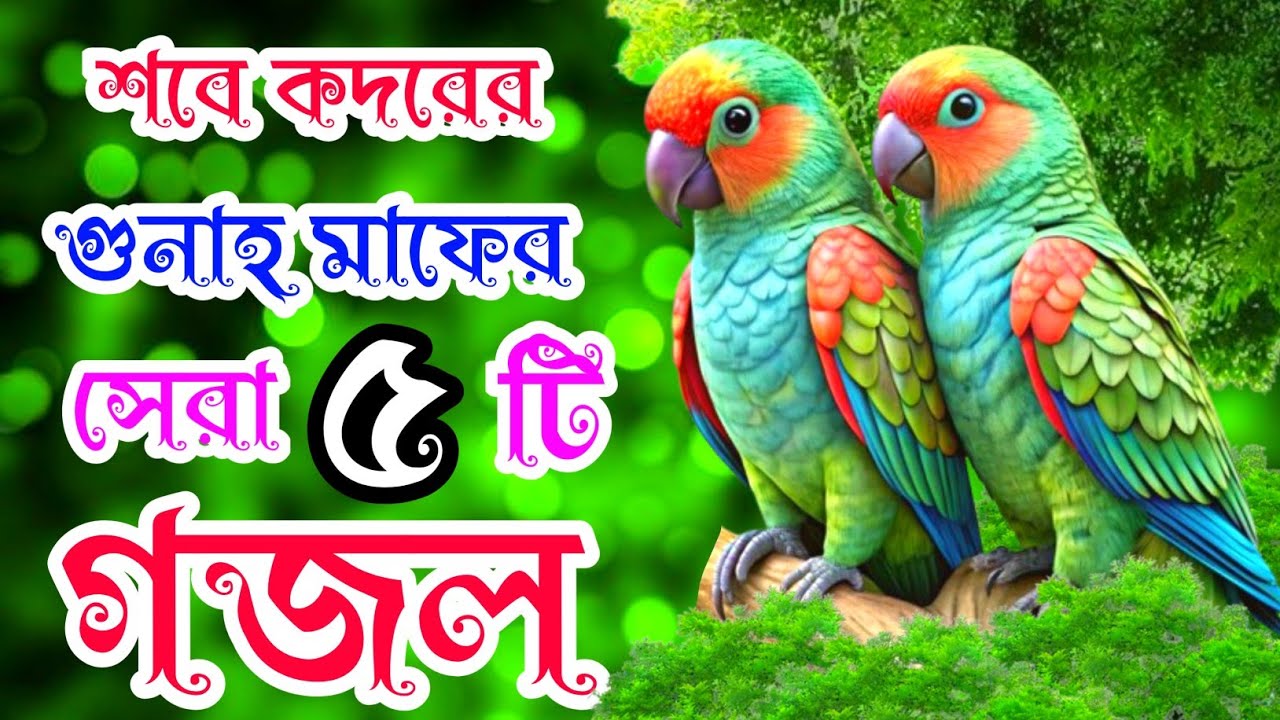 শবে কদরের গজল কদরের গজল খুবই দুঃখের কবরের গজল। Shobe Kodor Gojol Bangla Gazal New Song Bangla 