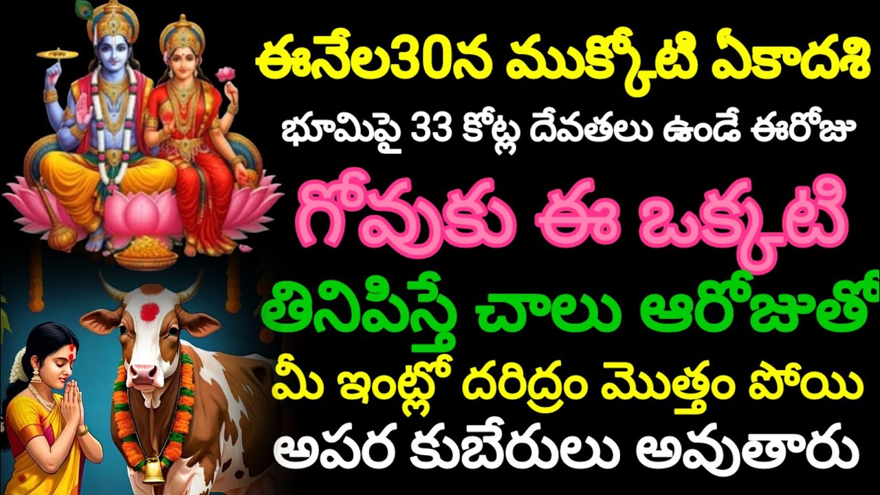 #డిసెంబర్ 30ముక్కోటి ఏకాదశి భూమిపై 33 కోట్ల దేవతలు ఉండే ఈరోజు గోవుకు ఈ ఒక్కటి తినిపిస్తే చాలు..