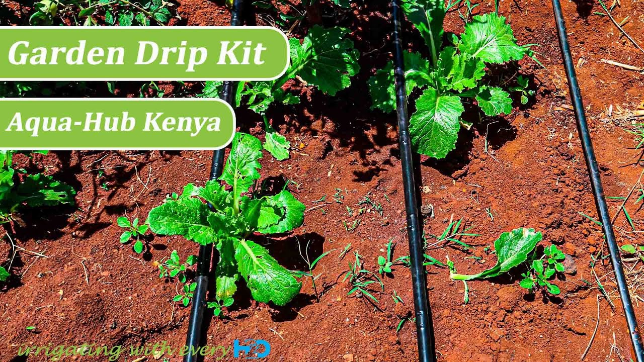 Drip Irrigation Kit by Aqua Hub Kenya | Call : 0790719020