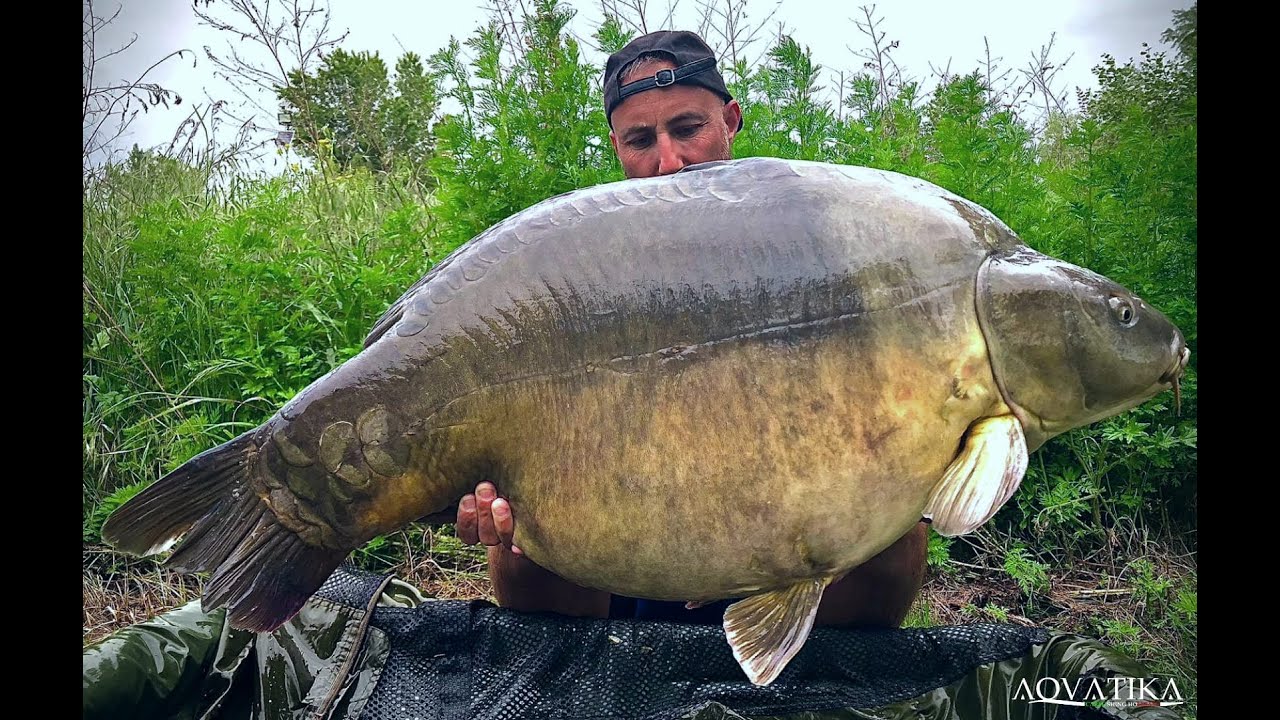 Karpfenfischen am Aqvatika Lake - Italien Carp Lakes