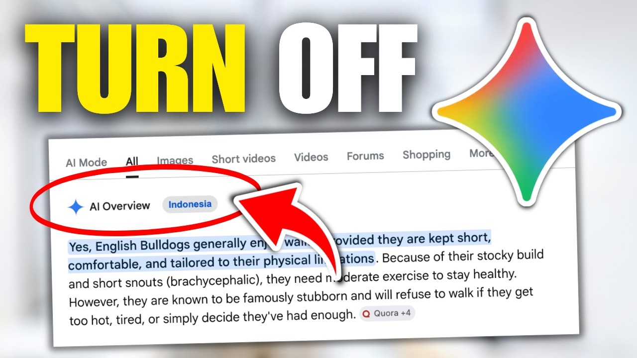 How To Turn OFF AI Overview In Google Search