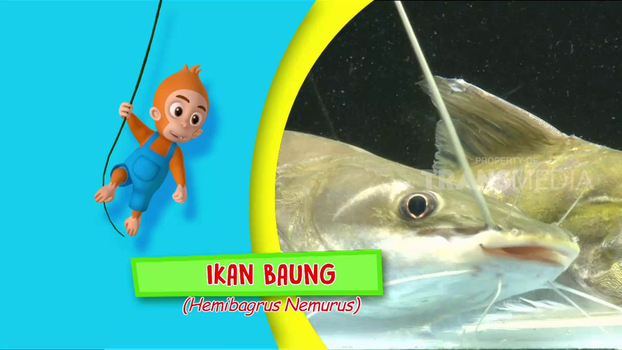 SI OTAN | SI KUMIS PENGHUNI AIR TAWAR (02/03/18) 1-3