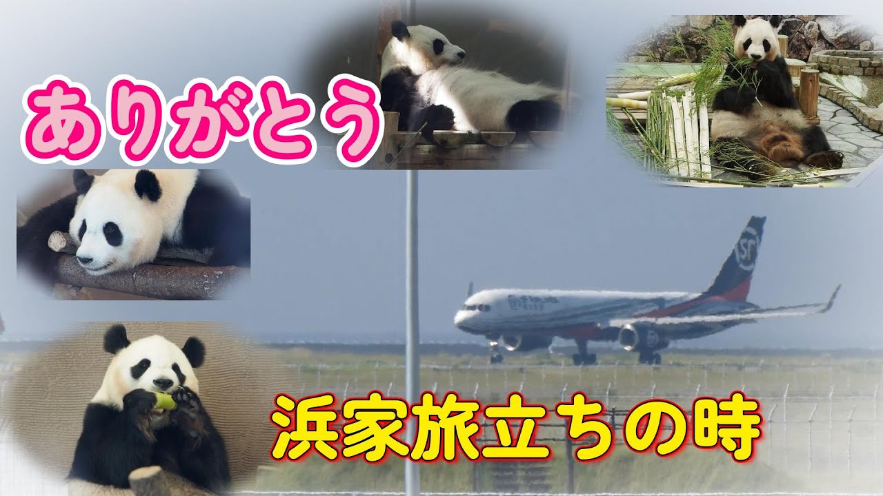 【ありがとう浜家最終観覧日と旅立ちの時】