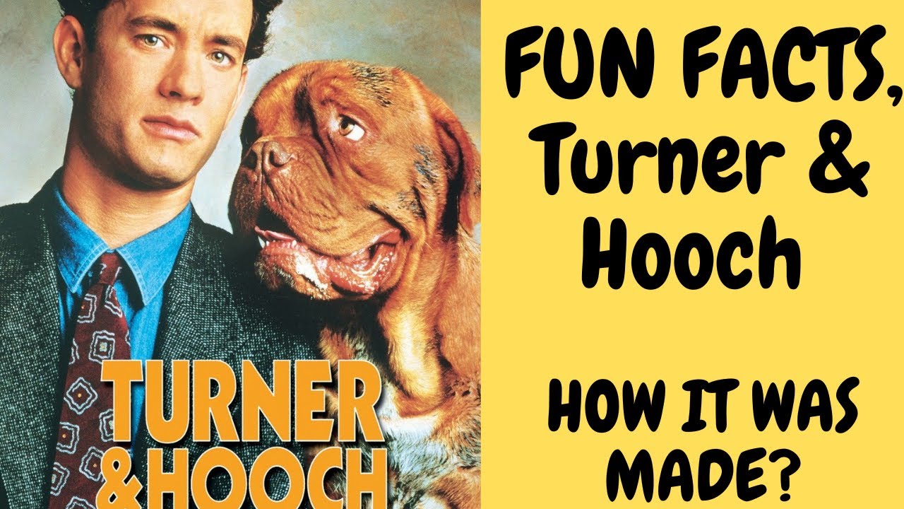 Как создавалась компания Turner & Hooch? Learjet, испорченное автокресло и многое другое...