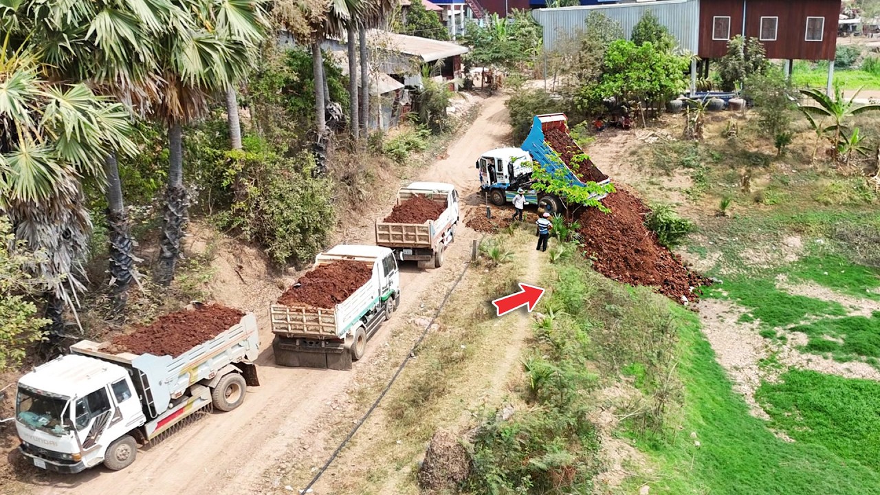 Start Delete pit Near Home using Dump truck dumping soil and push fill by KomatSu Dozer