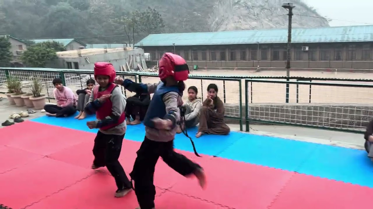 #viral #fight #kick #karate martail art