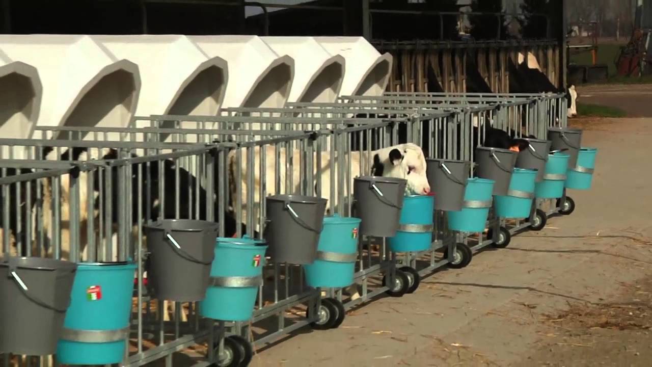 Eurosilos Sirp - Box per vitelli