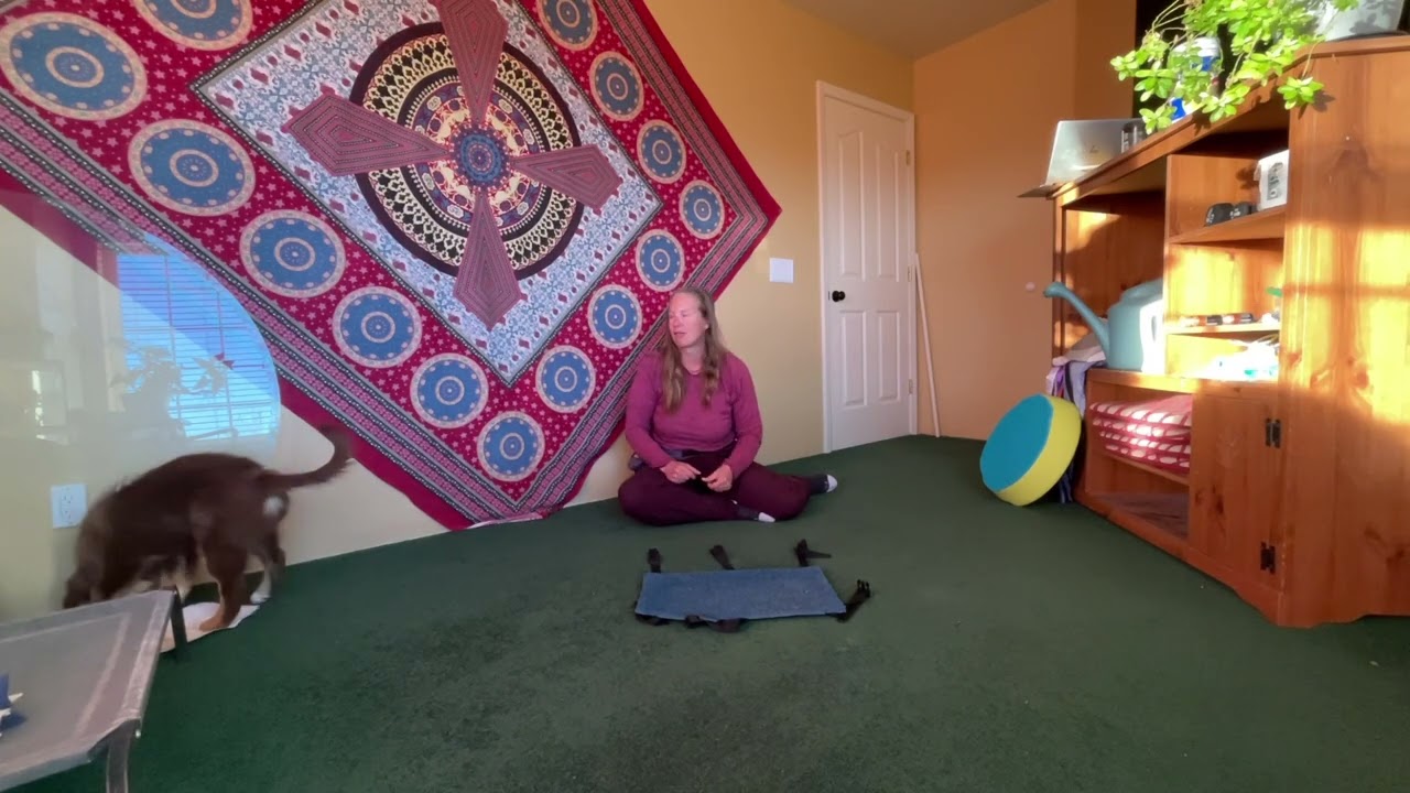moving foot target step 3&4