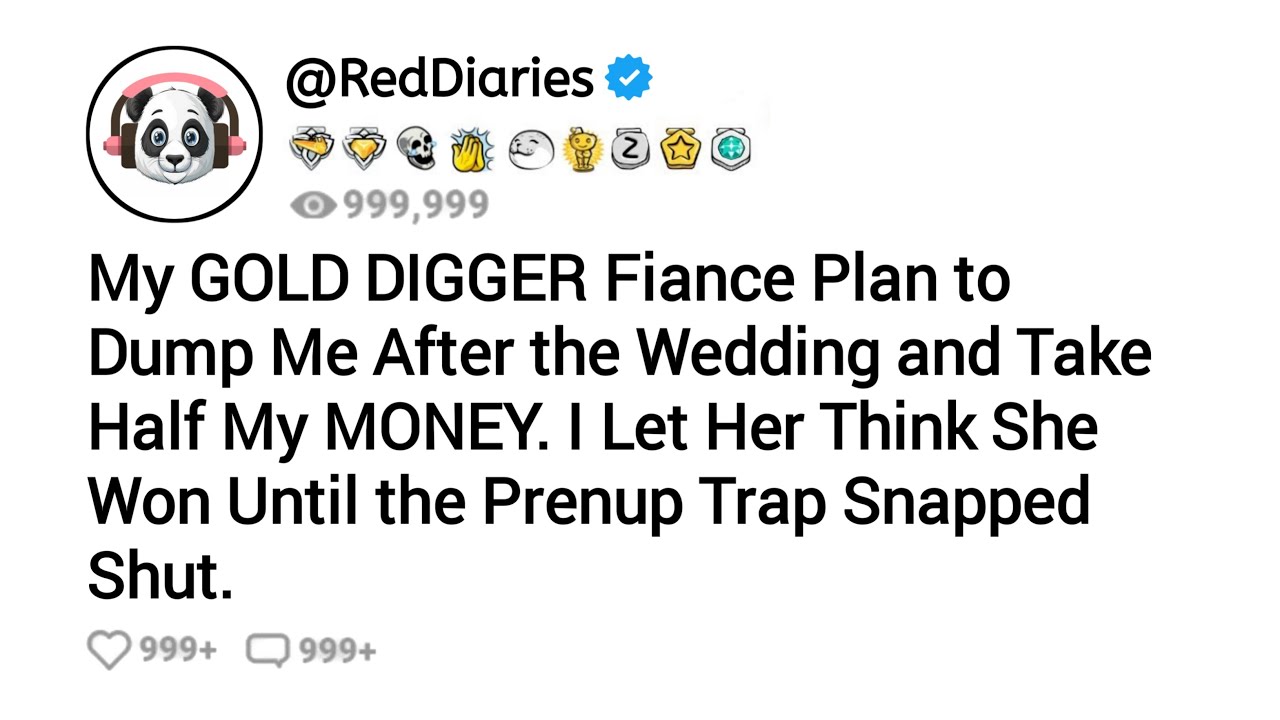 My Gold Digger Fiance Plan To Dump Me After The Wedding And Take Half My Money. I Let Her Think...
