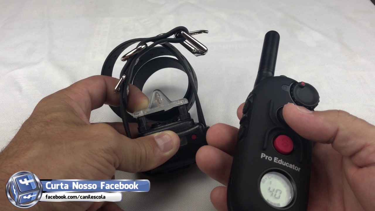Tutorial Funcões C/M/R/I/V/T do Pro Educator PE 900 E-Collar - Colar Eletronico E-Collar