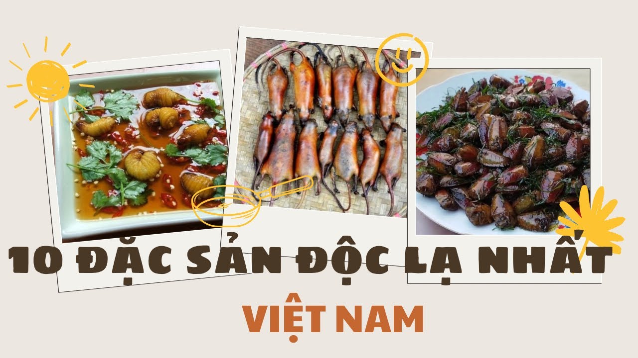 Ăn là nhớ đời: Top 10 món đặc sản độc lạ nhất Việt Nam | Unforgettable bites #H.O.C