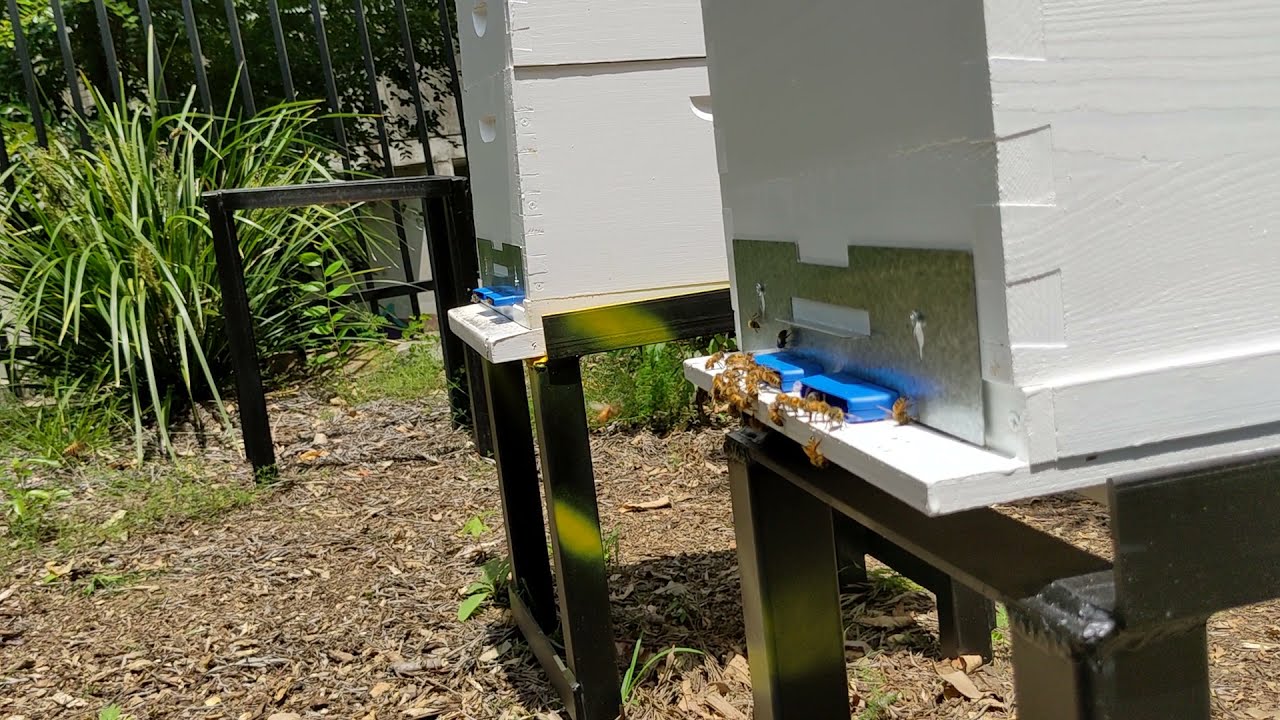 Hive Gates inspection