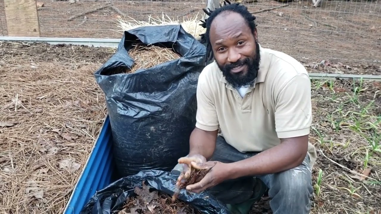 Garlic Maintenance 101: Cheap Mulching Options