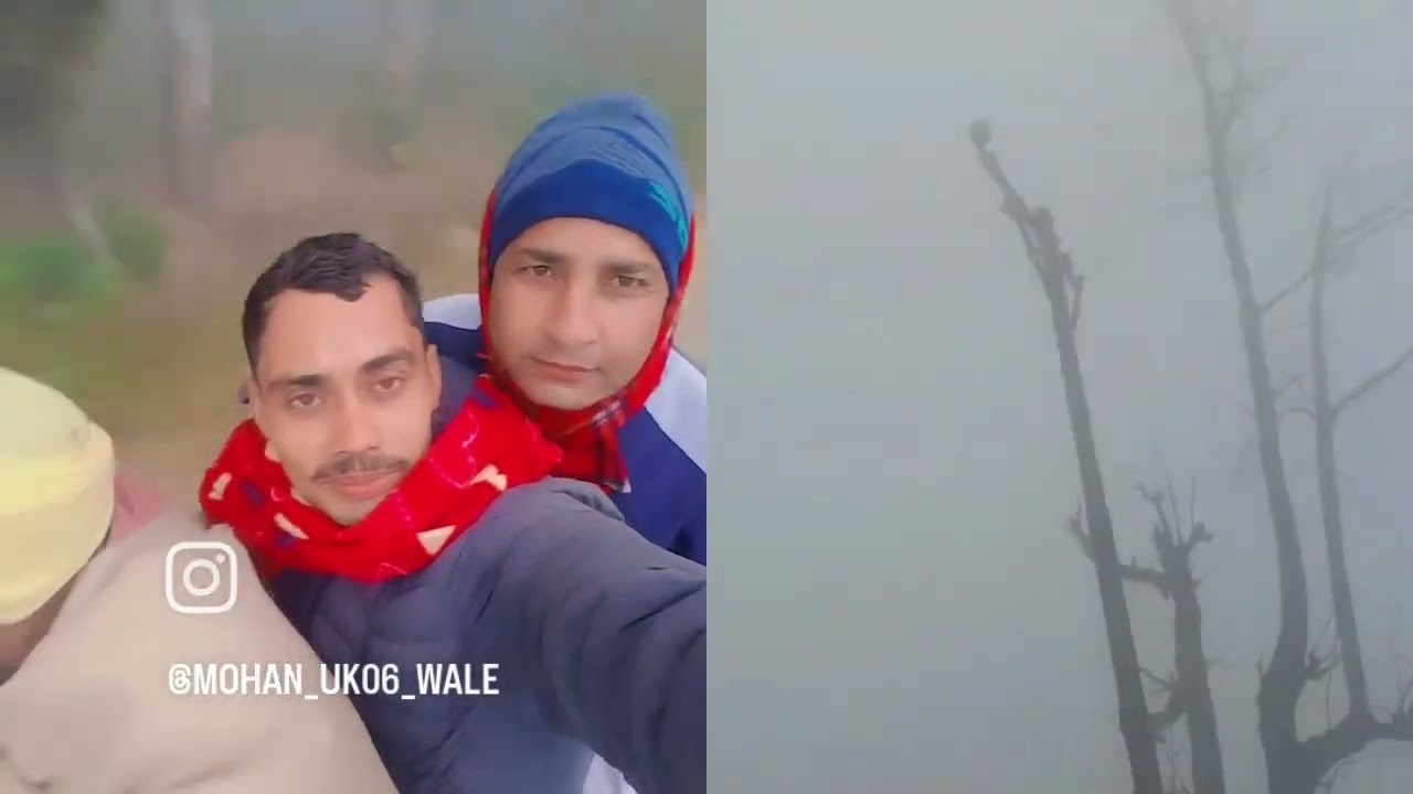 Pesa vesa song mohan bhatt reels pp