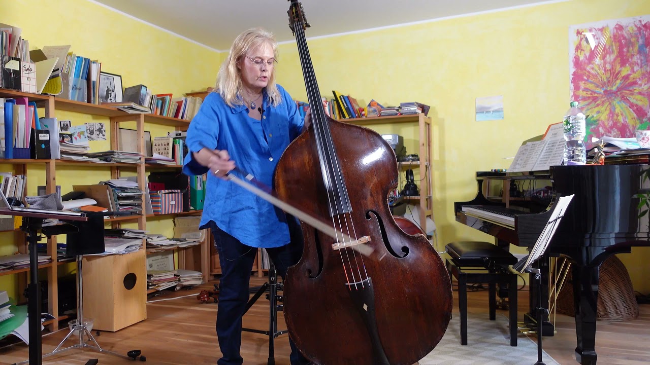 Dittersdorf — Concerto No. 2: Tutorial with Christine Hoock, Double Bass. Part 1 of 12 (Mov. 1)
