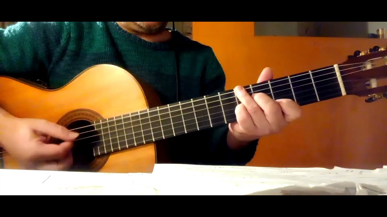 NARANJO EN FLOR (como tocarlo) en 🎸