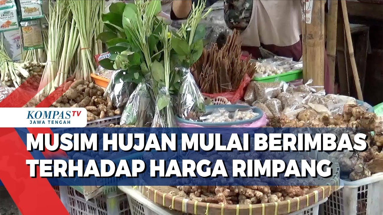 Musim Hujan Mulai Berimbas Terhadap Harga Rimpang