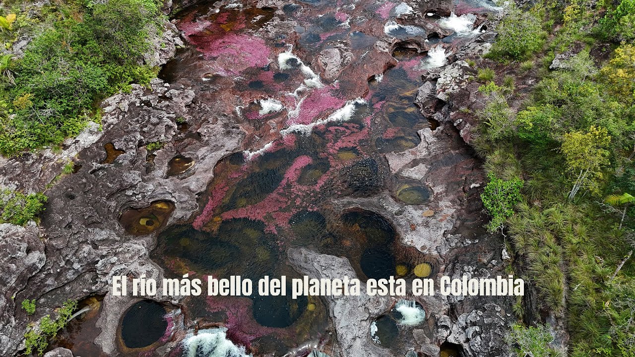 Caño cristales el río más bello del mundo