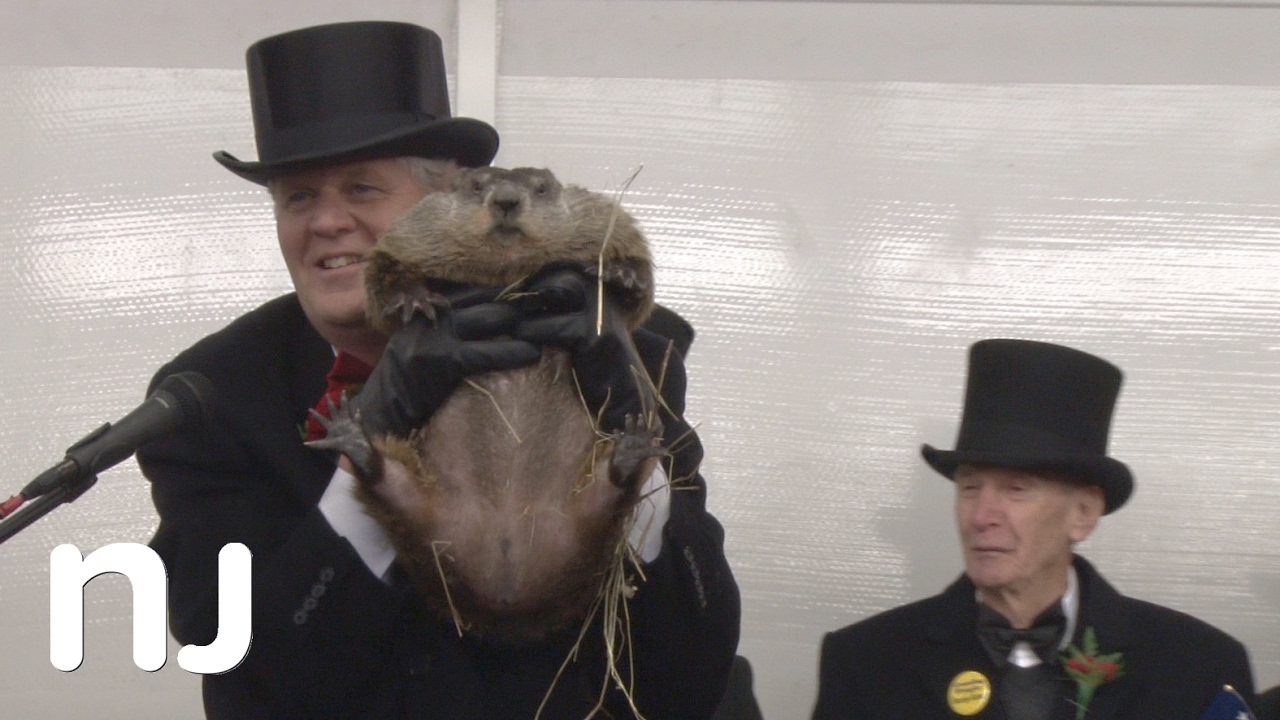 Did Milltown Mel see his shadow on Groundhog Day 2017?