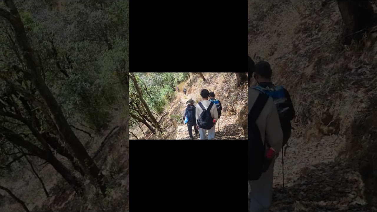 Southern phulchoki #travel #hikingpath #everyone #nature #naturelovers #viralvideo #love 