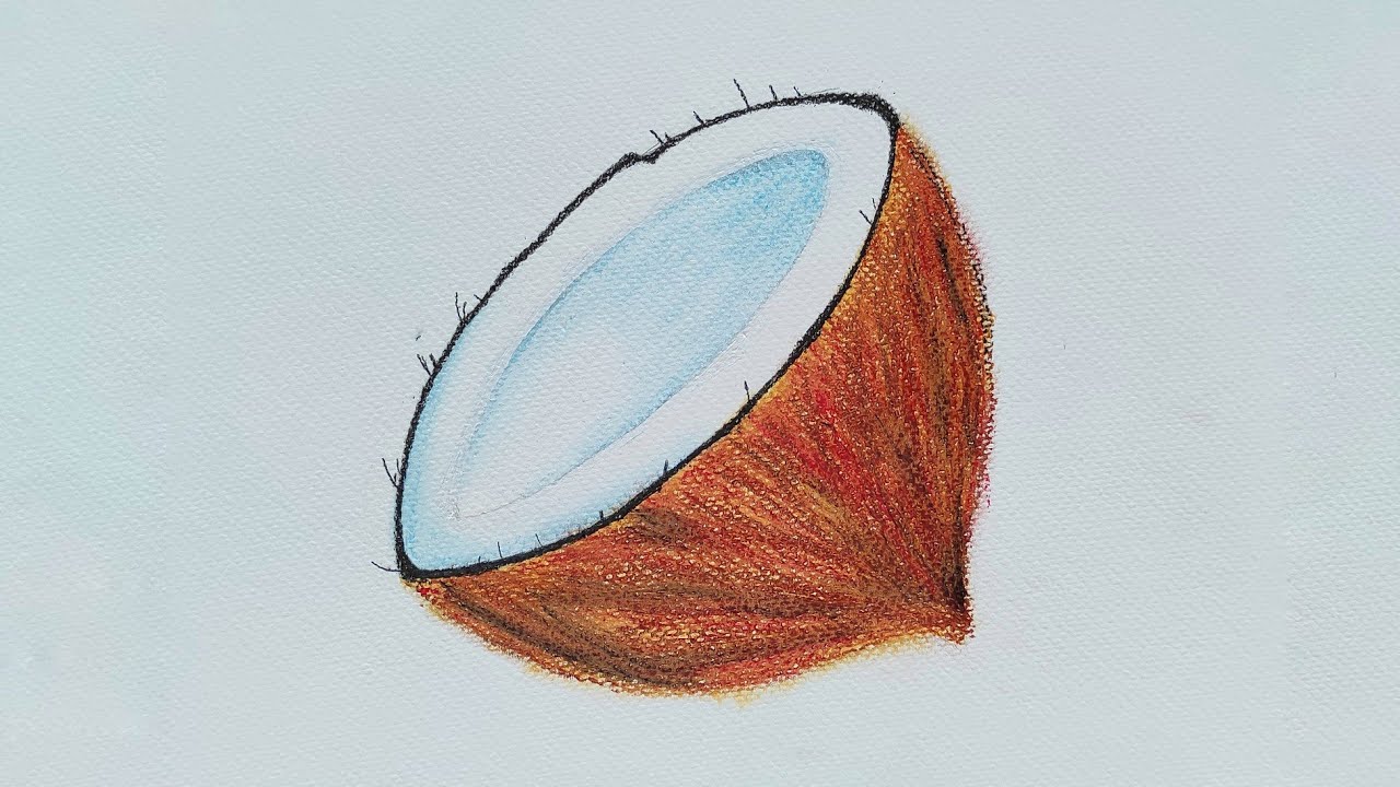 How to Draw a Coconut with Oil Pastel Color step by step for Beginners | Coconut Drawing | Sketches