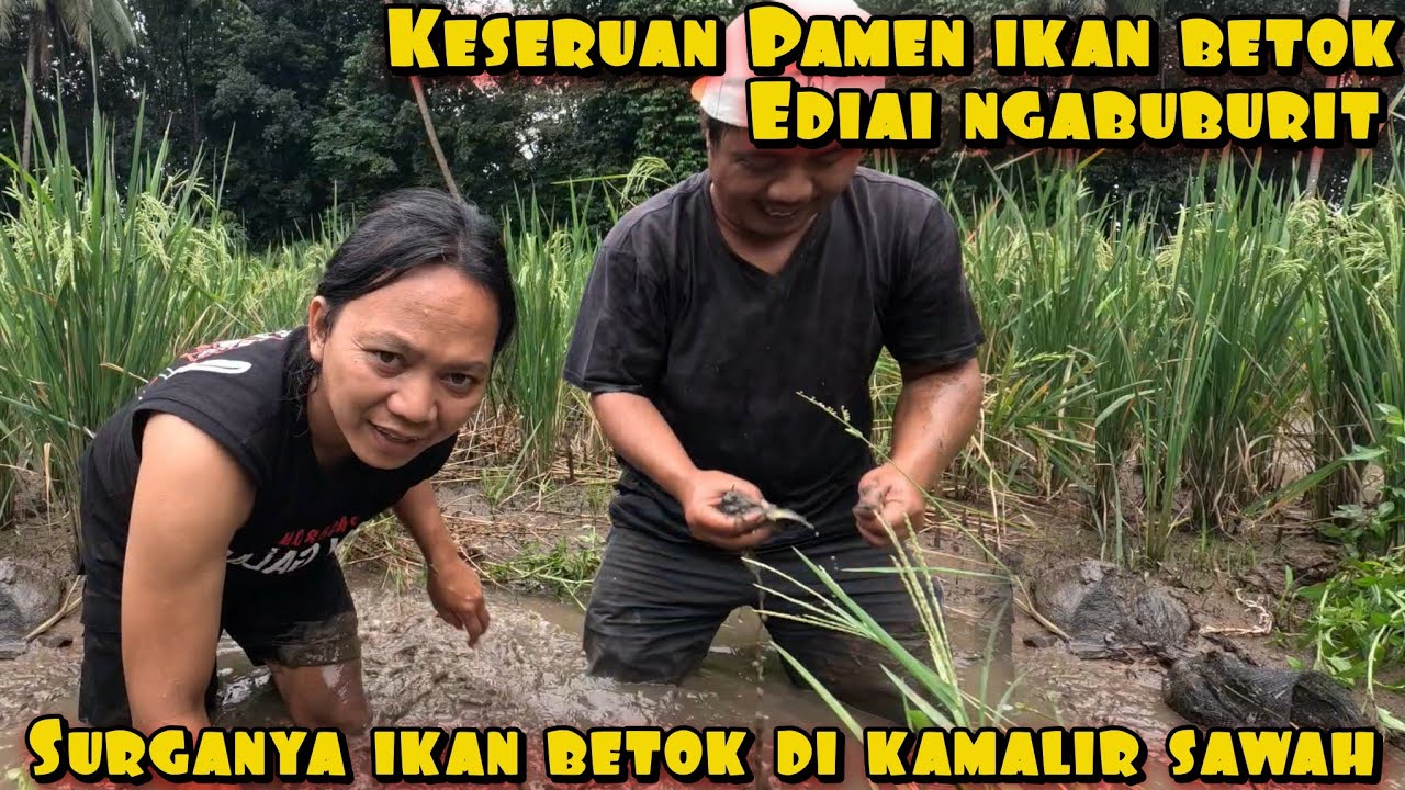 BERBURU IKAN PURBA SAMBIL NGABUBURIT