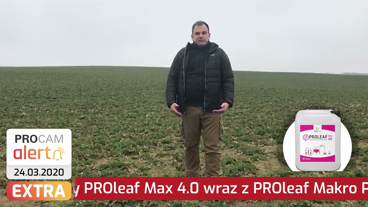 PROCAM Alert EXTRA - rzepak odżywianie i ochrona 2021