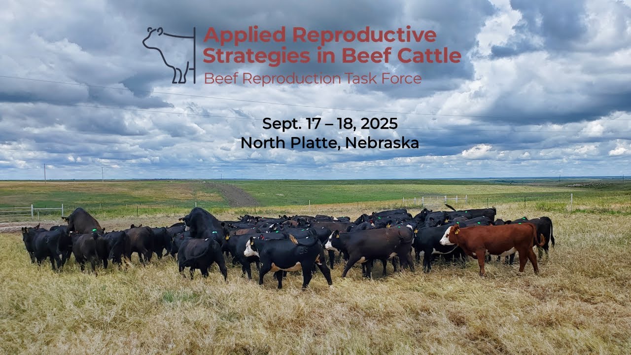 Using estrus synchronization for natural service - George Perry, PhD  Texas A&M University