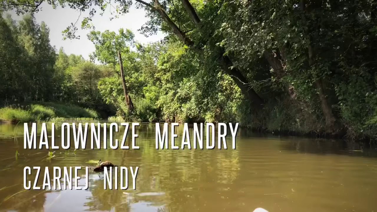 Czarna Nida kajakiem