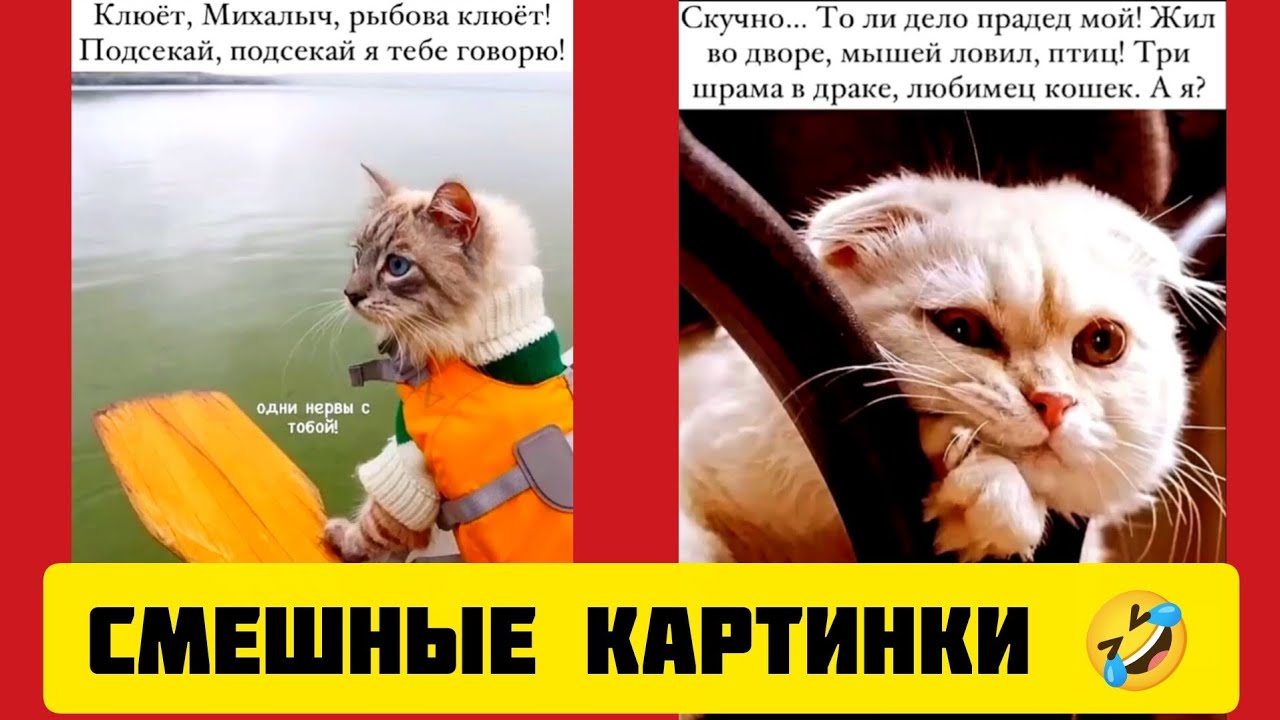 Клюёт, Михалыч, рыбова клюёт!🐟 Подсекай, подсекай 🎣я тебе говорю!одни нервы с тобой!🤣