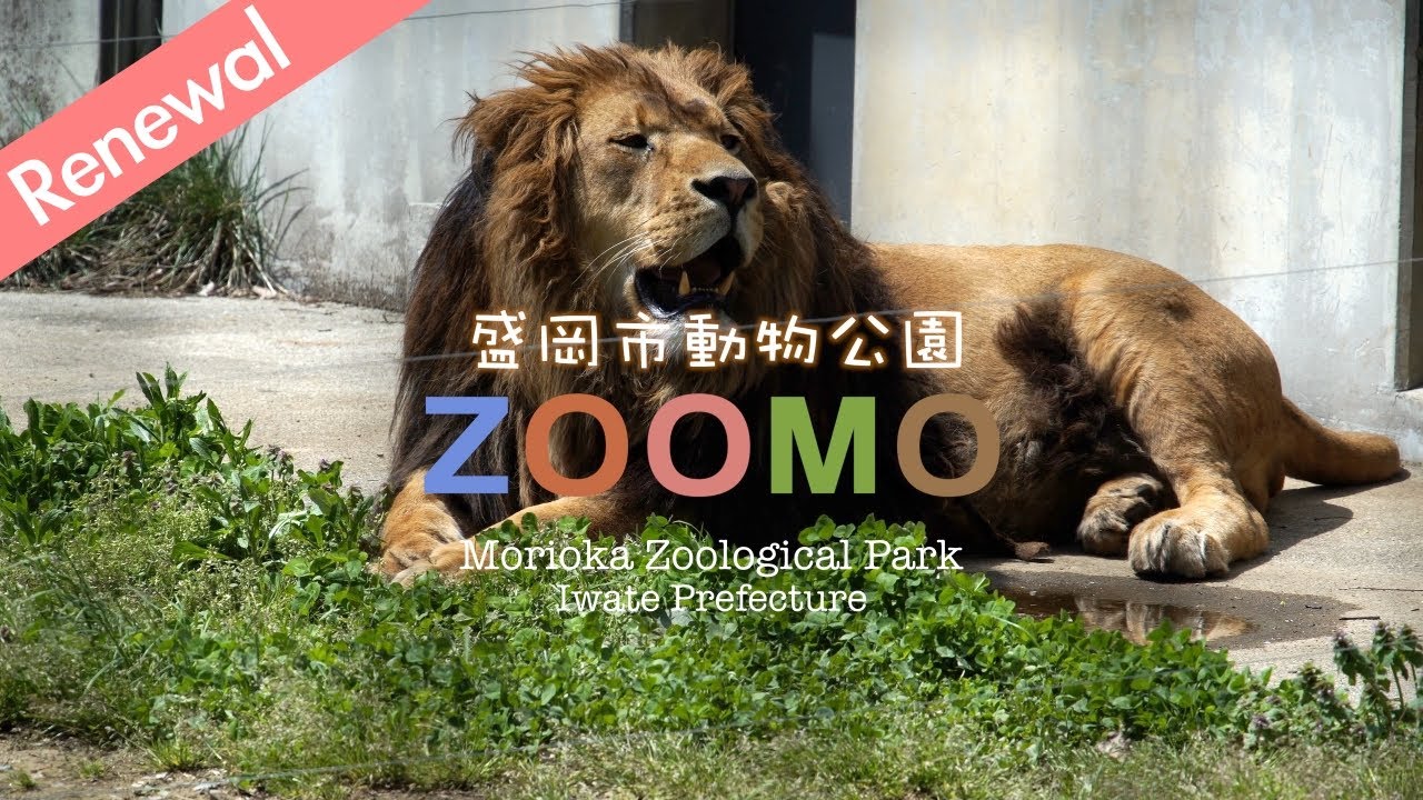 【ZOOMO】見て楽しい歩いて楽しい♪ 盛岡市動物公園／ズーモ