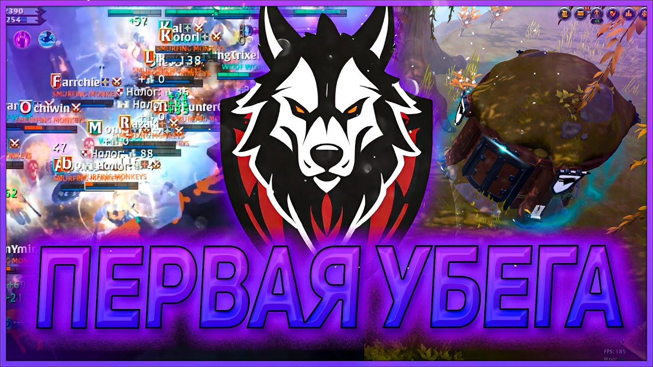 [EU] 🐺 WOOF WOOF - ПЕРВАЯ УБЕГА + ФАЙТЫ 🐺 ALBION ONLINE EUROPE SERVER | MIDSCALE | ЗАМКИ | ZVZ