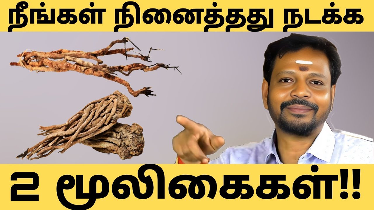 நீங்கள் நினைத்ததை அடையச் செய்யும் இரண்டு மூலிகைகள்..#mayansenthil #spiritual
