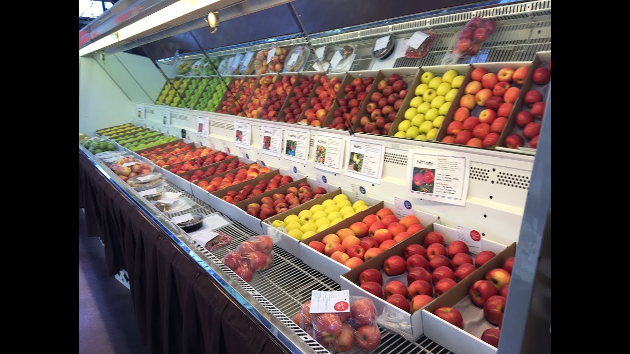 “Surely the Apple is the Noblest of Fruits:  Apple Origins and its Early History in North America